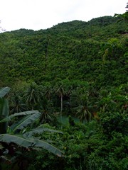 Green Mountains in The Philippines